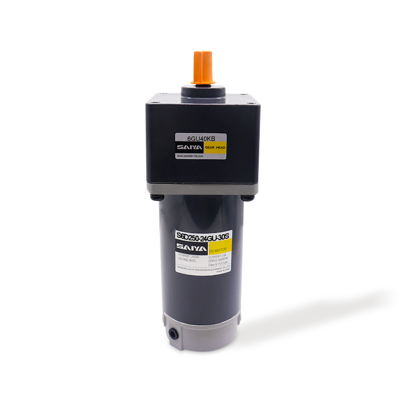 250 Вт щітки DC Gear Motors